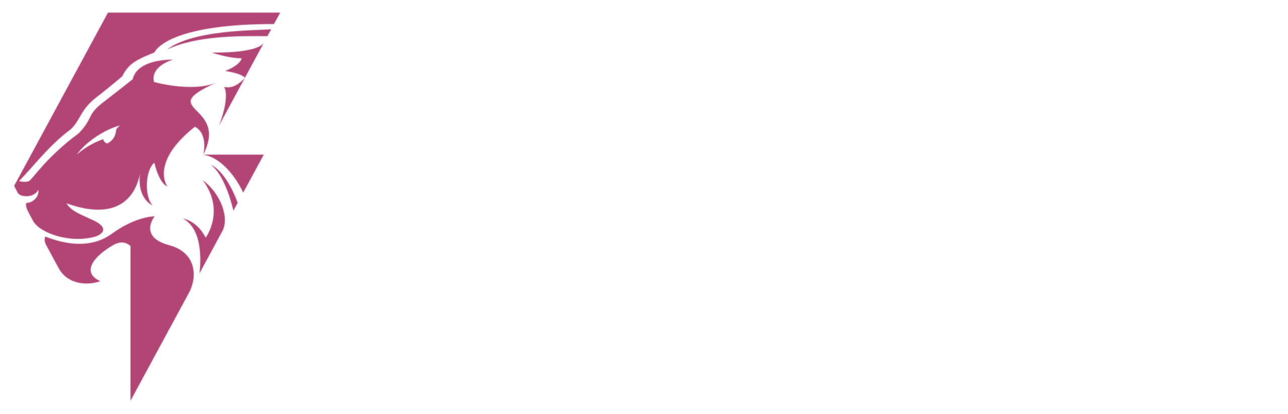 StanMontage